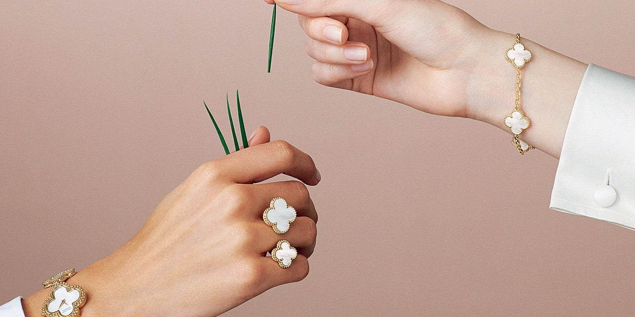 collection-banner-image